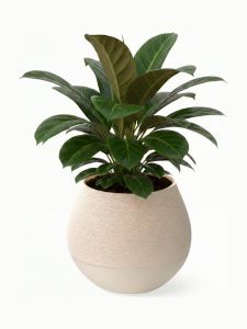Simiu - KAPKA - Blumentopfverkleidung mit Selbstbewässerungssystem - Elfenbein - Ø:11,5