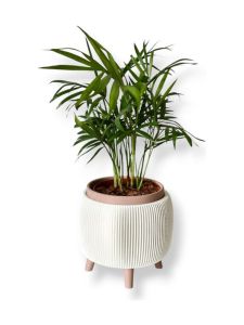 Simiu - Thalor - Blumentopf mit Beinen - Ø: 9 cm - Weißer Marmor/Lehmbraun