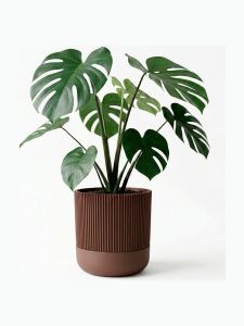 Simiu - GROWLOFT - Blumentopfhülle mit Untersetzer - Mokka - 8,2 cm hoch