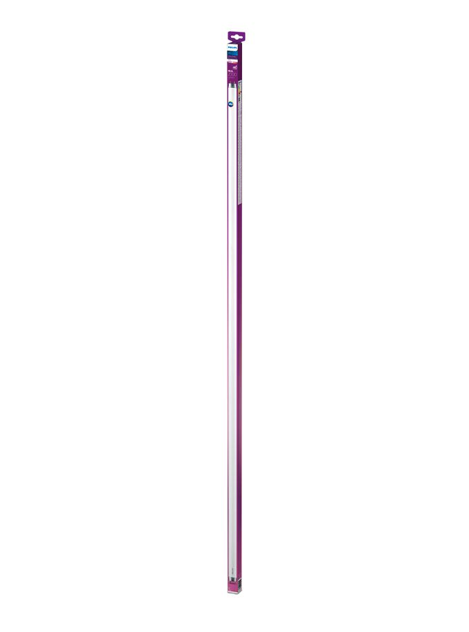 G13 - Philips LED-Röhre - 19,5 W - 150 cm - 2000 lm - 3000 K - T8