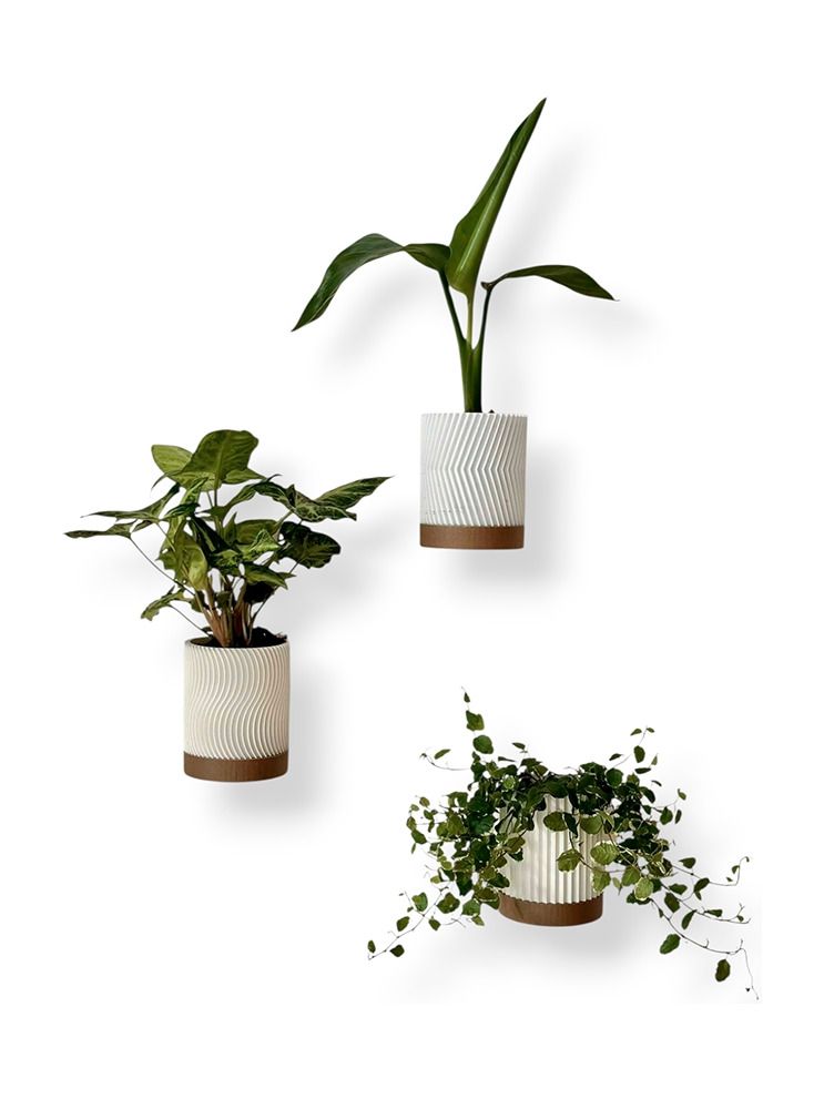Simiu - Blumentopfhülle für die Wand - Weiß/Mokka - 3 Stk. - 8 cm hoch