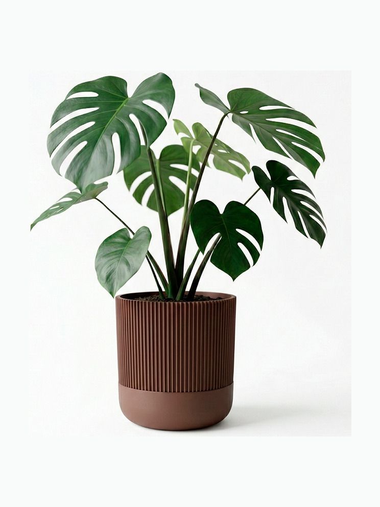 Simiu - GROWLOFT - Blumentopfhülle mit Untersetzer - Mokka - 8,2 cm hoch