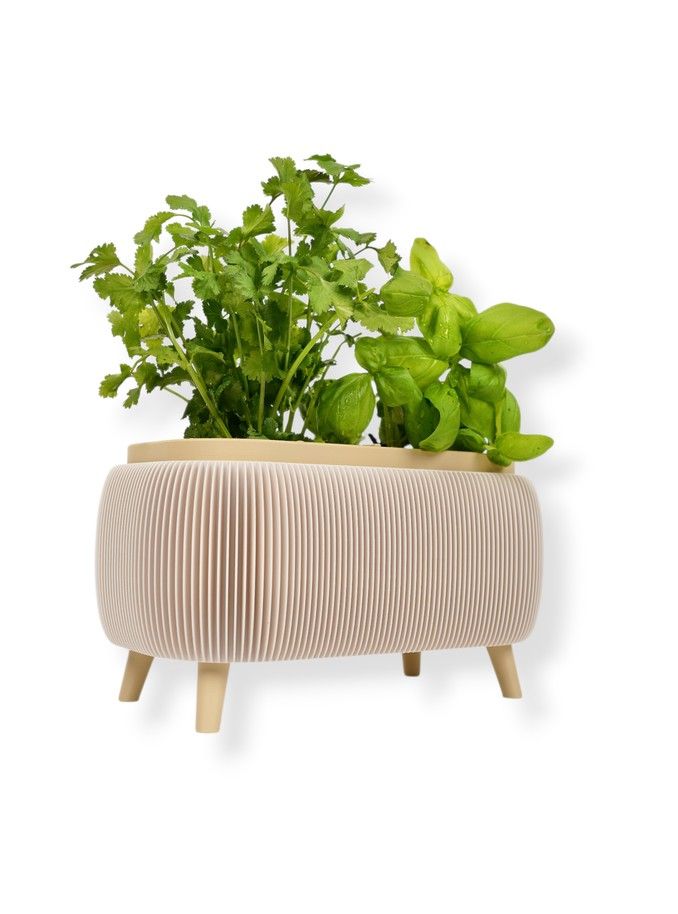Simiu - Thalor Herbs - Kräutertopf - Groß