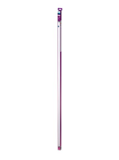 G13 - Philips LED-Röhre - 19,5 W - 150 cm - 2000 lm - 3000 K - T8