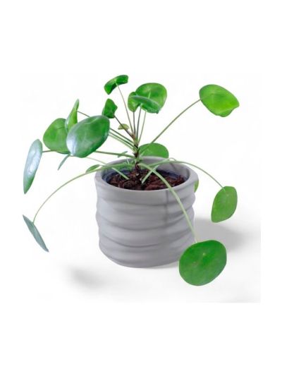 Simiu - CLAYLA - Blumentopfhülle 11,5 cm Durchmesser