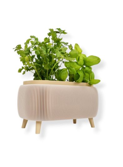 Simiu - Thalor Herbs - Kräutertopf - Groß